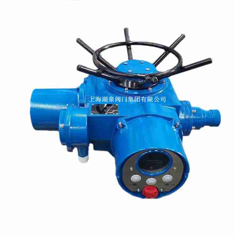 DZW90-24T閥門(mén)電動(dòng)裝置產(chǎn)品說(shuō)明書(shū)