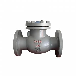 DN50 PN25 介質：甲胺，溫度：80℃止回閥