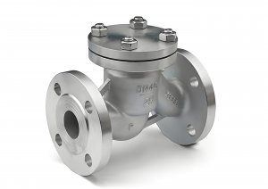 升降式止回閥 H11F-16P DN15現(xiàn)貨供應(yīng)廠(chǎng)家