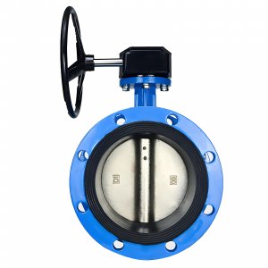 法蘭式蝸輪蝸桿蝶閥DN40，1.6Mpa（橡膠密封