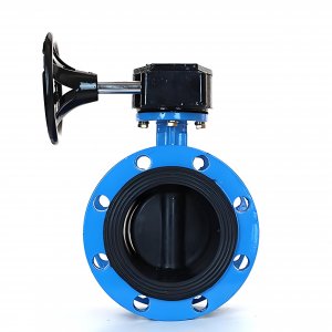 法蘭式蝸輪蝸桿蝶閥DN125，1.6Mpa橡膠密封